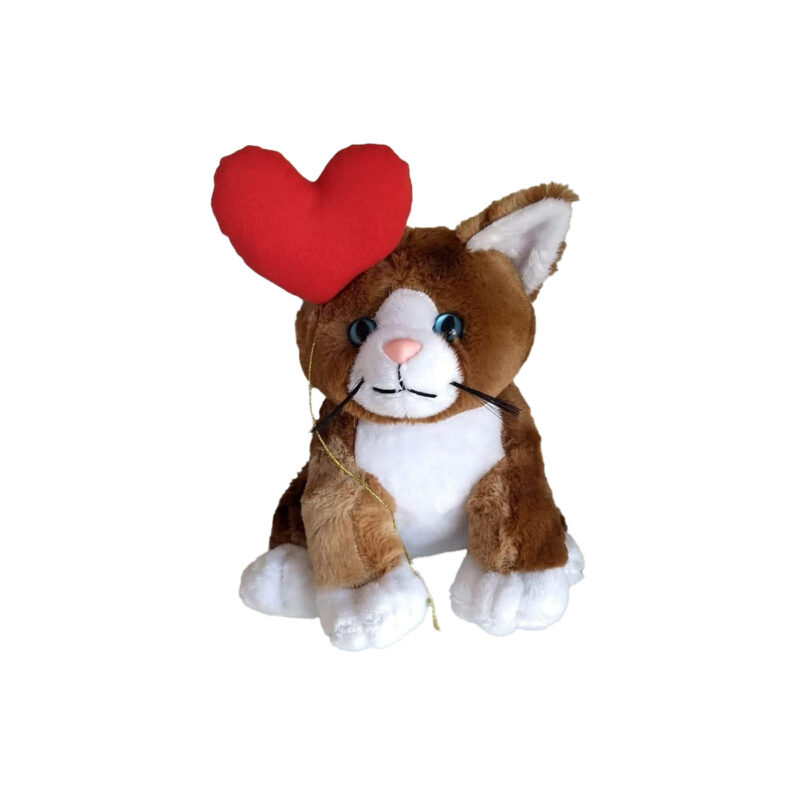 Gato - Com Coração